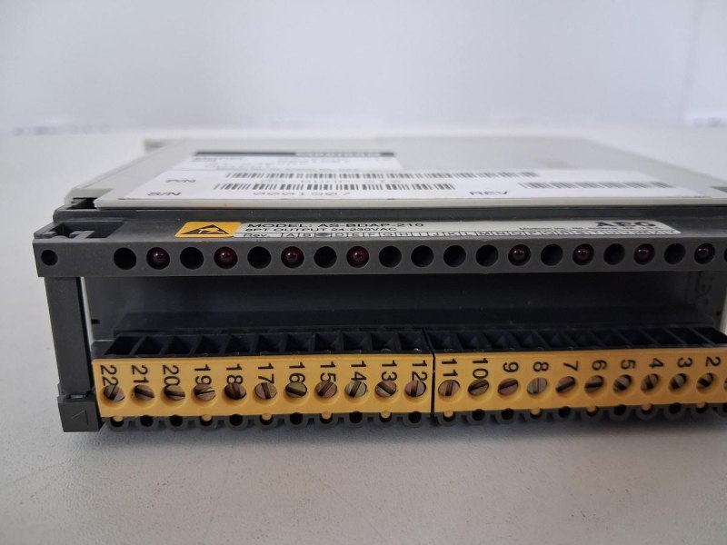 Modicon AS-BADP-210 Output Module