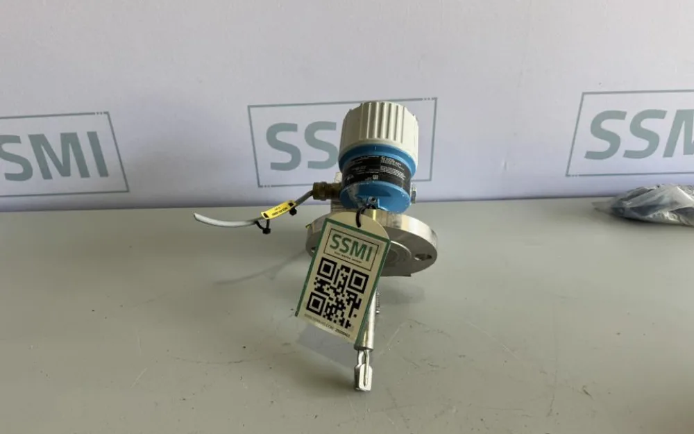 2020 Endress+Hauser Vibronic Level Switch