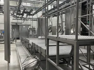 Pig slaughter line, Pek-Mont, 60 pph