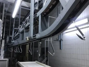 Organ line