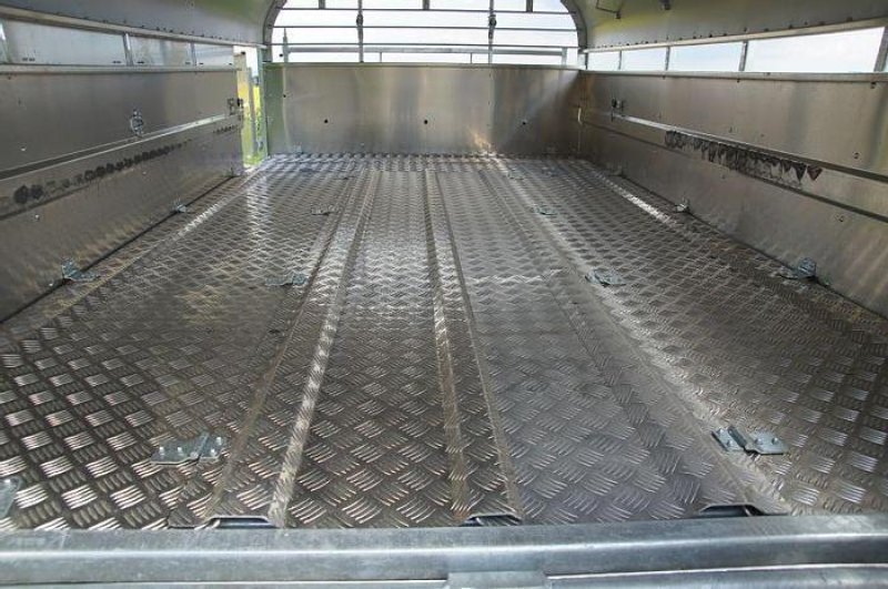 NUGENT LS3618H Schafdeck - im Zulauf