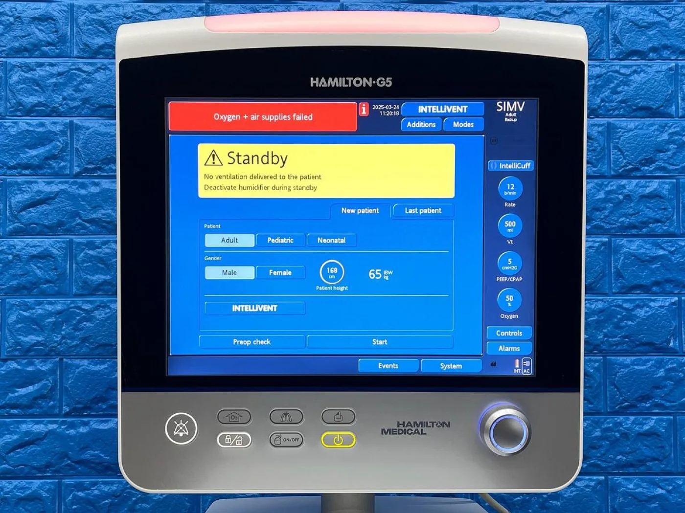 HAMILTON S1 Ventilator with Neonatal, Peads and Adult option YOM: 2013 - 5