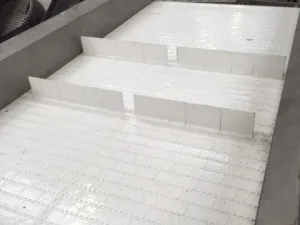 White offal belt conveyor, Couédic-Madoré