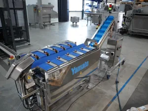 2016 Yamato tabletop weger