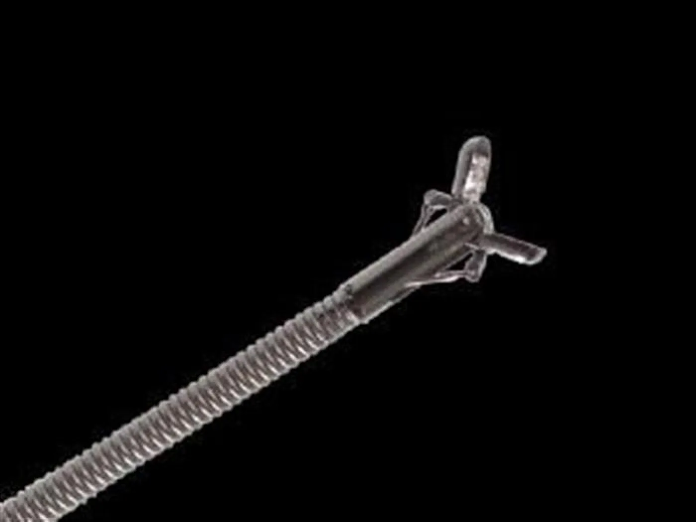 BIOPSY FORCEP - 3300X2.4 mm - 1