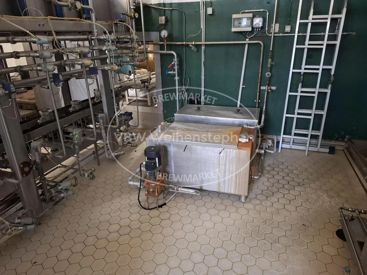 Keg plant - 4