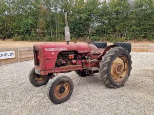 1964 David Brown 990 2WD Tractor