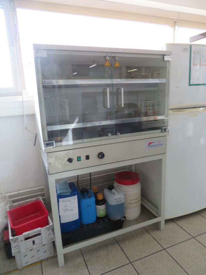 2009 France Etuves France Etuves XAS280 Glassware Drying Cabinet- R and D