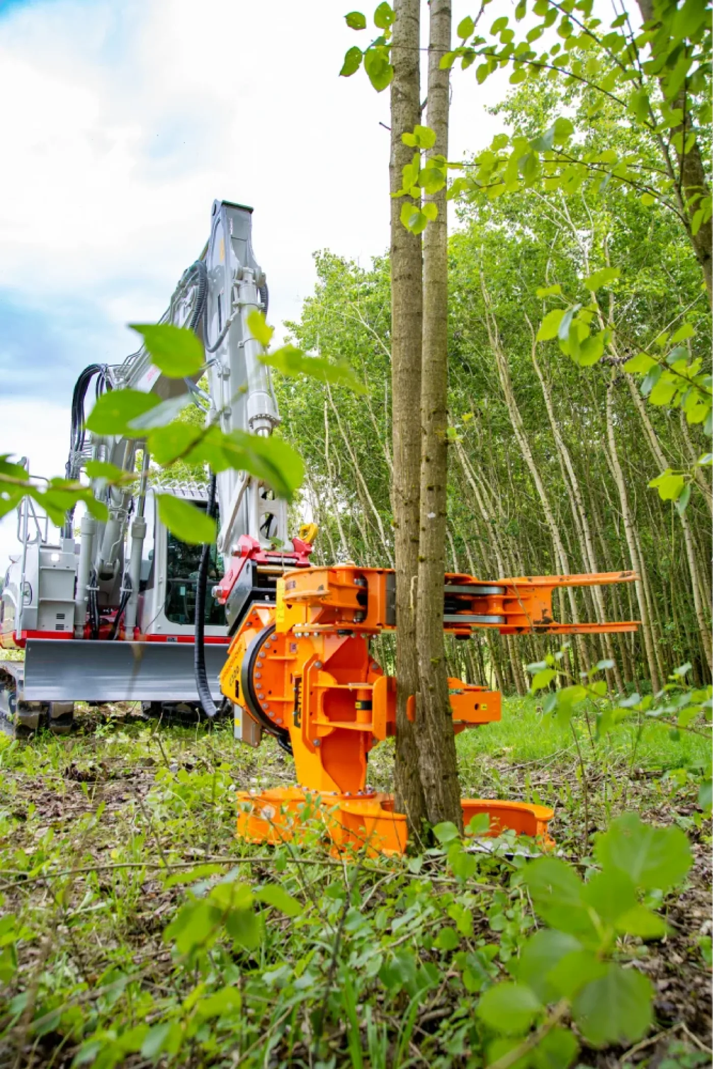 Westtech - Woodcracker C 300 - 4