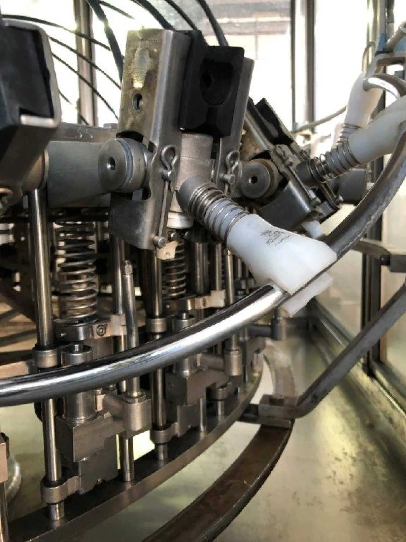 RINSER MACHINE PROCOMAC GRIPSTAR 36 NOZZLES, SECOND-HAND MACHINE - 3