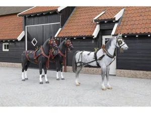 VAN der Wiel Harness Horses