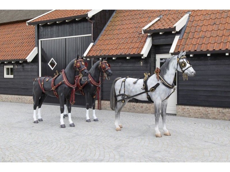 VAN der Wiel Harness Horses