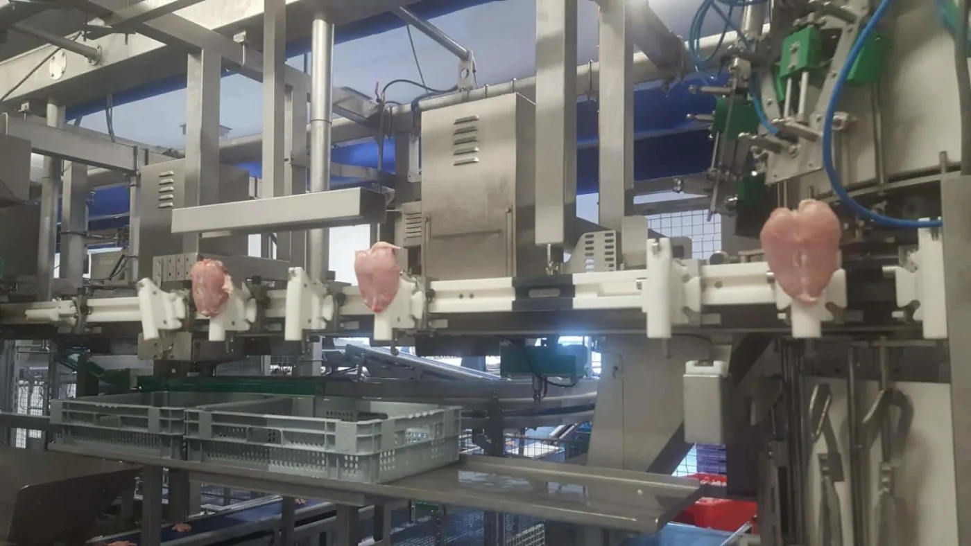 Breast Cap Filleting machine, Meyn, Rapid - 7