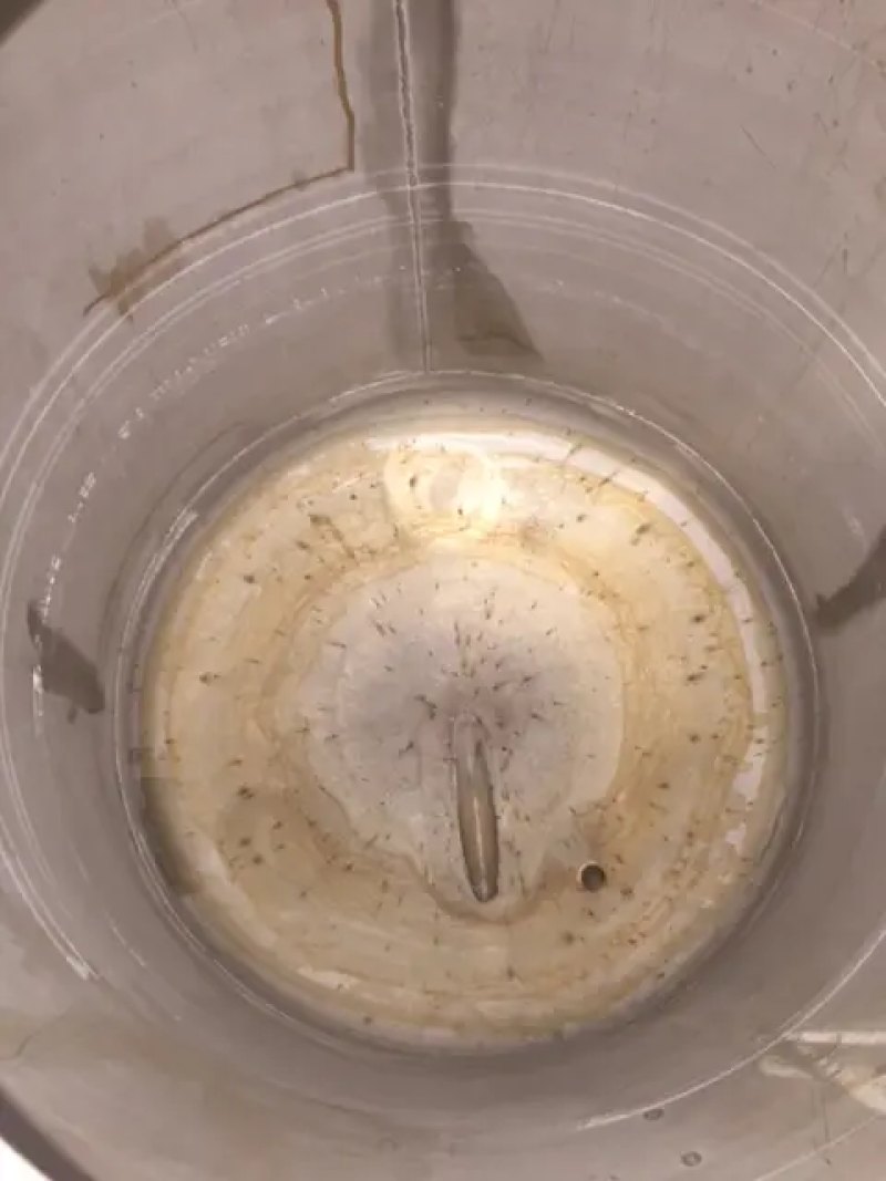 USED STAINLESS STEEL TANK 300 LITERS