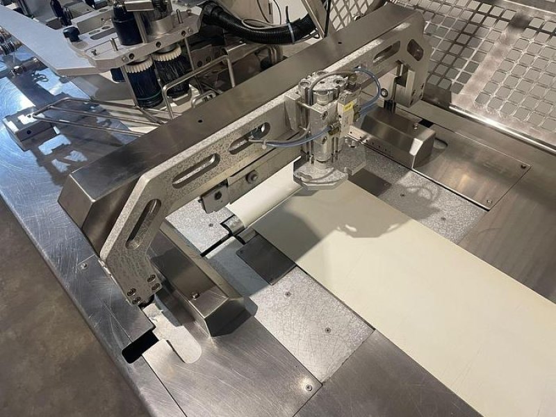2000 Cryovac Flow wrapping machine met krimptunnel