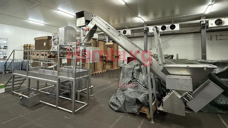 Pasta Filata Line - Alpma Sulbana / Prima WCLSE-1000/1
