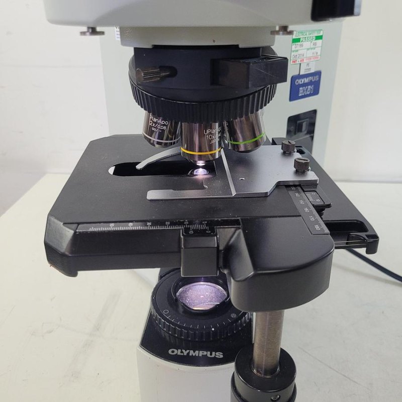 Olympus BX51TF Microscope