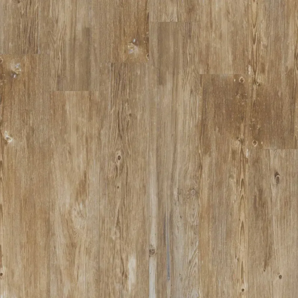 Canoro 10MM Viridis naturel