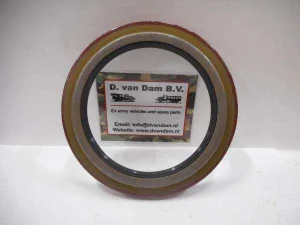 Keerring wielnaaf ( achter )