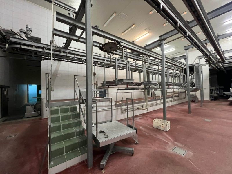 Pig Slaughter Line, GEDE Schlachttechnik, 60 pph