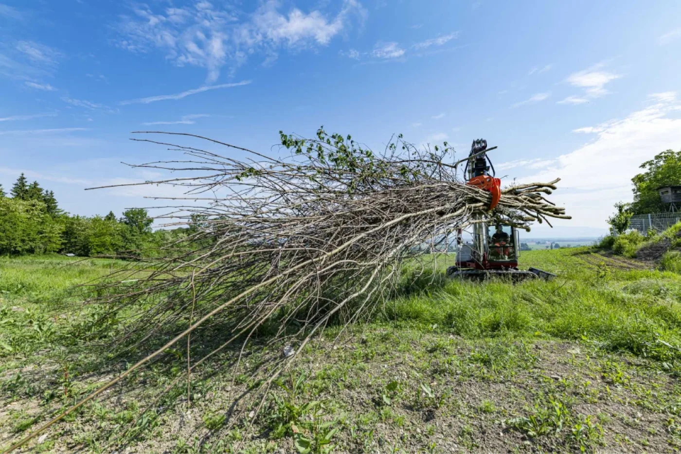 Westtech - Woodgripper WG 1270 - 6
