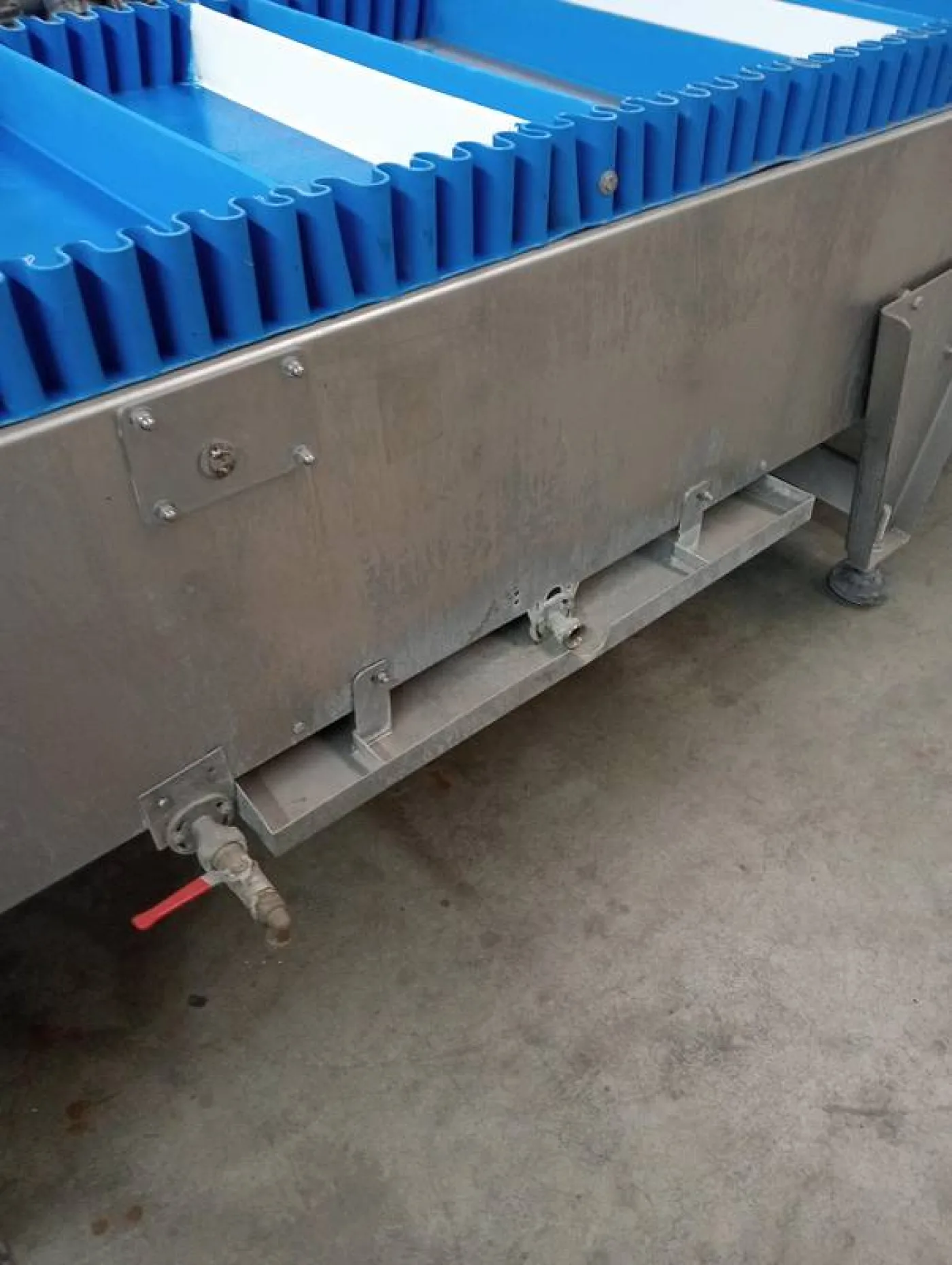 Paunch conveyor - 8