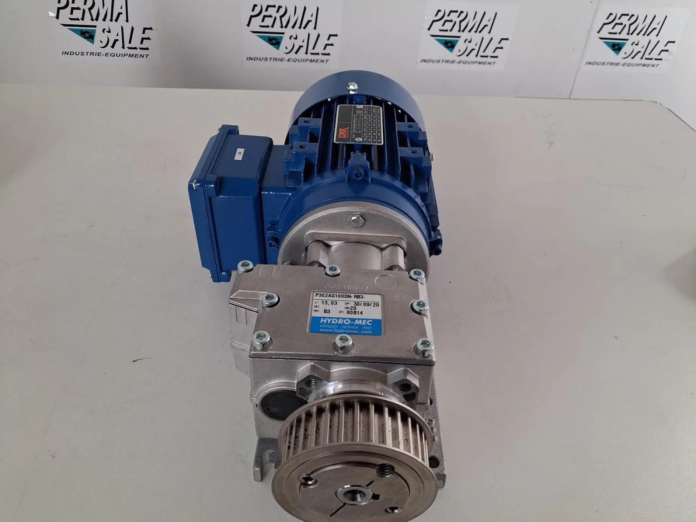 EMK KAE80A4-B14AEK Getriebemotor mit Hydro-Mec P302AS109DN Schneckengetriebe - 6
