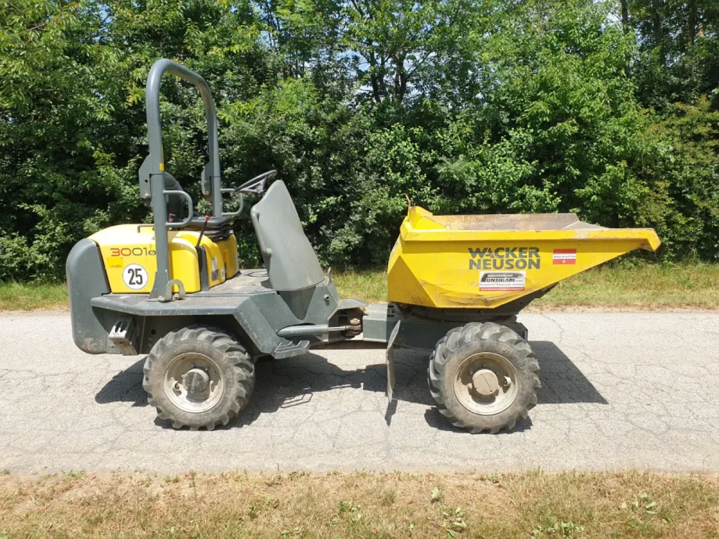 Wacker-Neuson - 3001 - 6