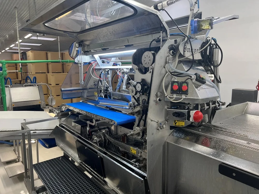 Curio C2011 Fish Filleting Machine – Big Fish