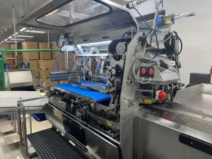Curio C2011 Fish Filleting Machine – Big Fish