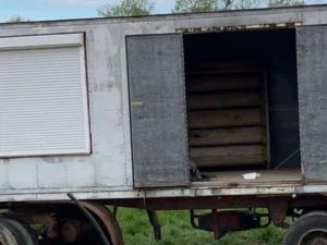 Baustellenwagen / Baustellencontainer gebraucht