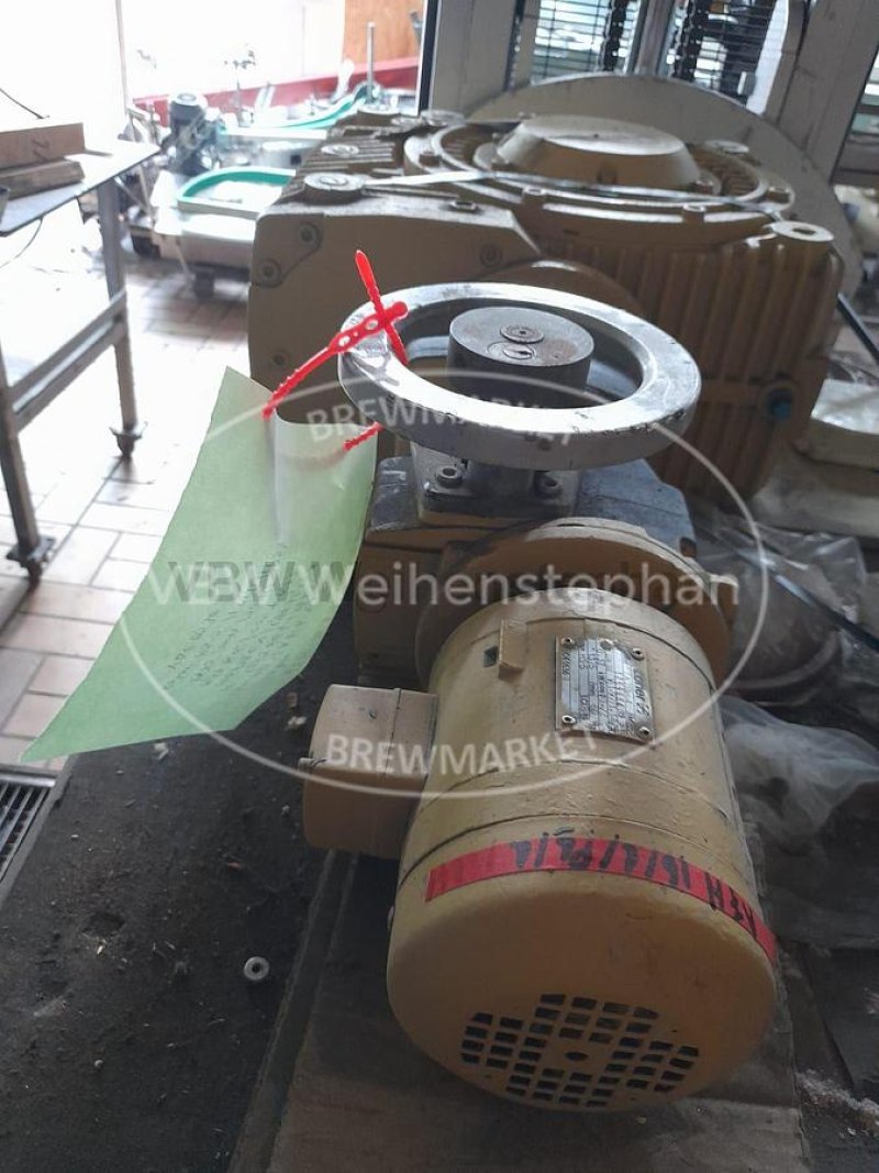 Gear motor