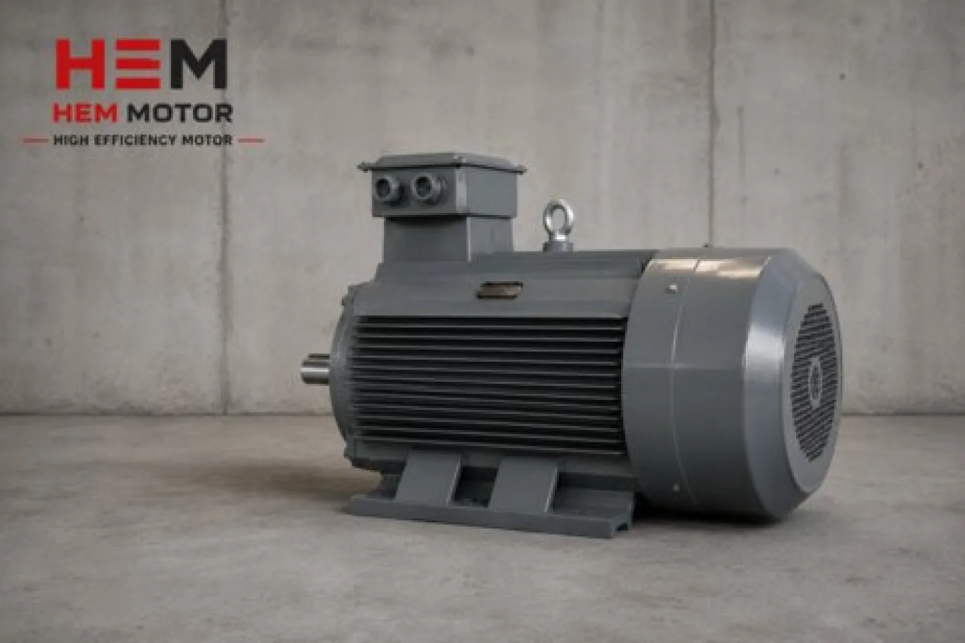 IE3 Premium Efficiency Electric Motors - 3