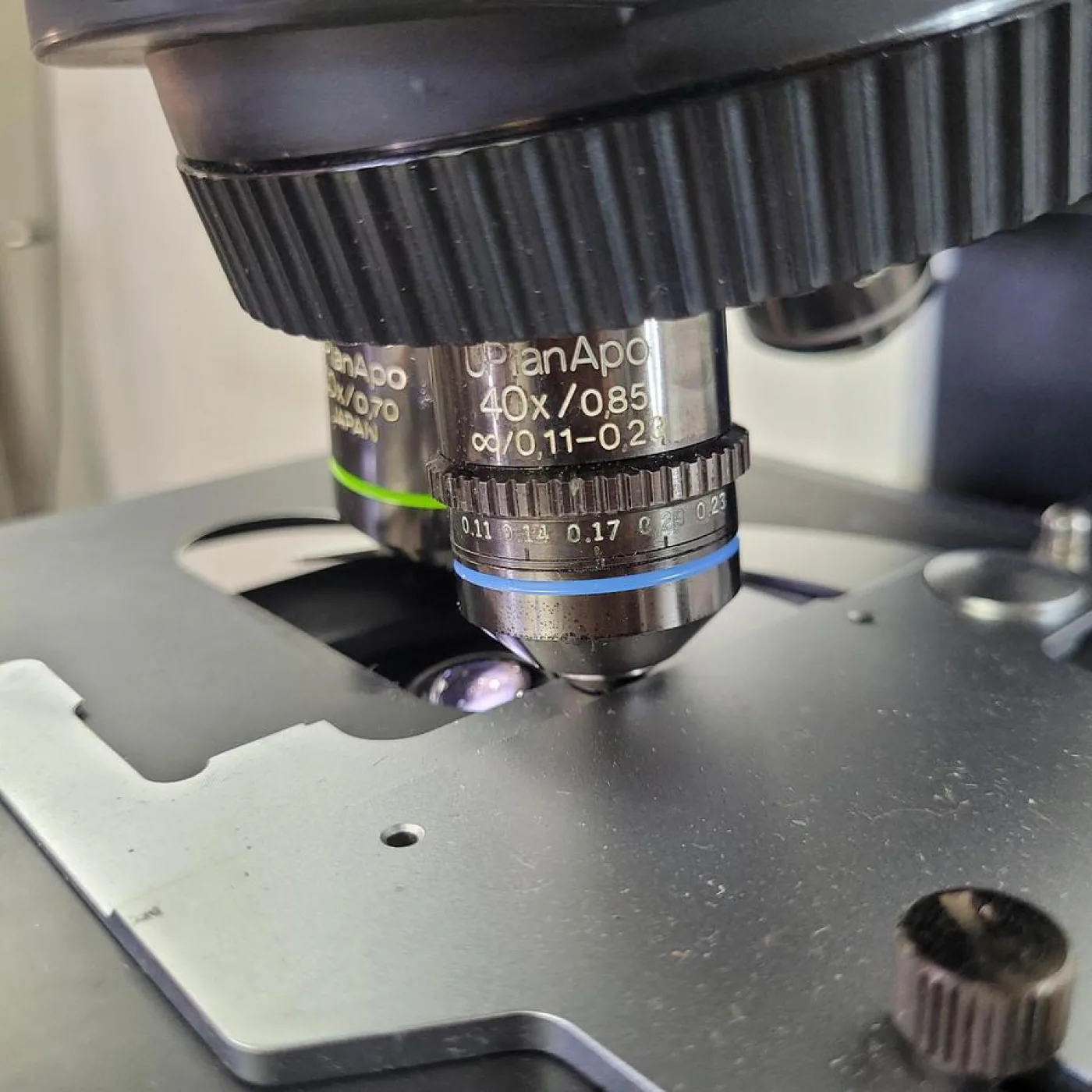 Olympus BX51TF Microscope - 6