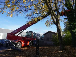 Teleskopstapler Magni RTH 6.31 - FÄLLKRAN (2025)