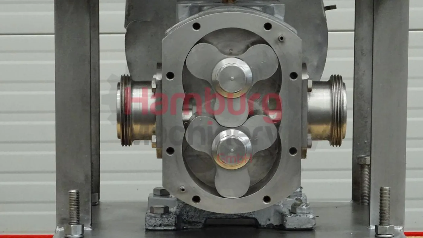 Rotary positive displacement pump / Lobe pump - ITT Jabsco Pureflo Lobe 24250-4310 - 6