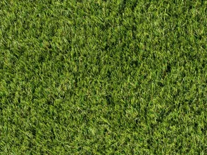 Kunstgras type Arena 30