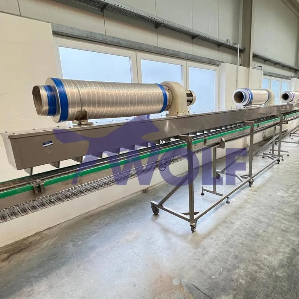 Hartbonbon-Kühlstrecke - mit ca. 200 mm Arbeitsbreite und 16 Meter Länge.