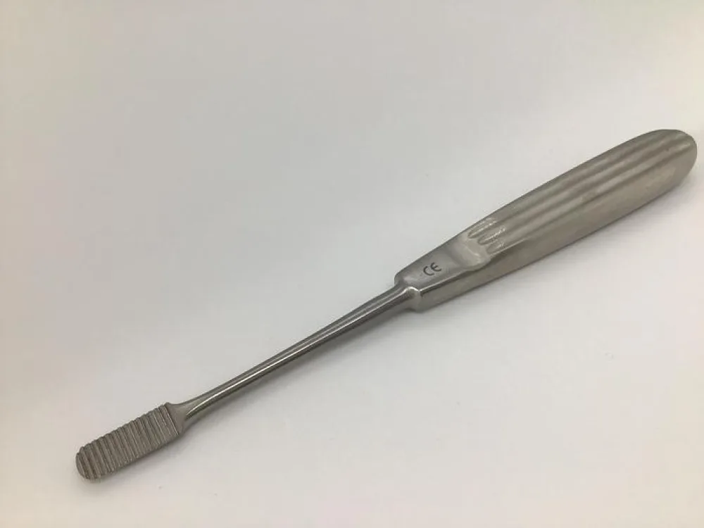 Rasp Straight 170mm