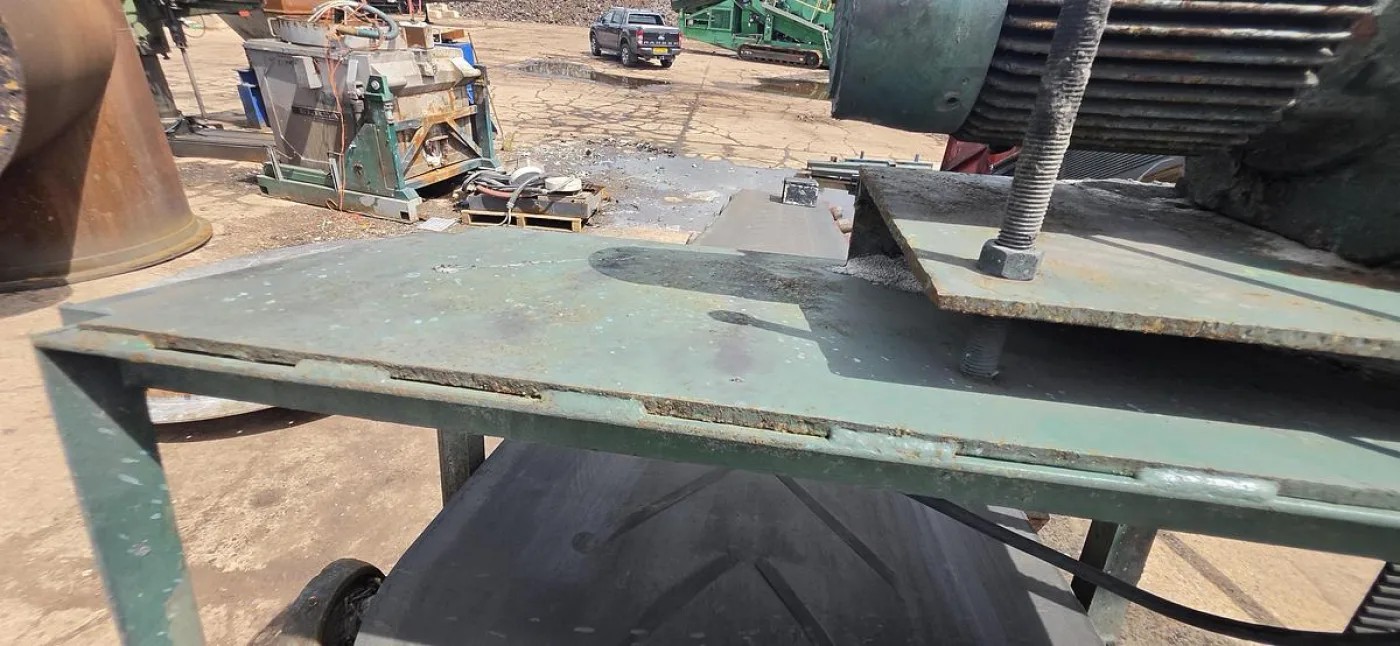 Infeed Conveyor W/Material Flow Switch - 8