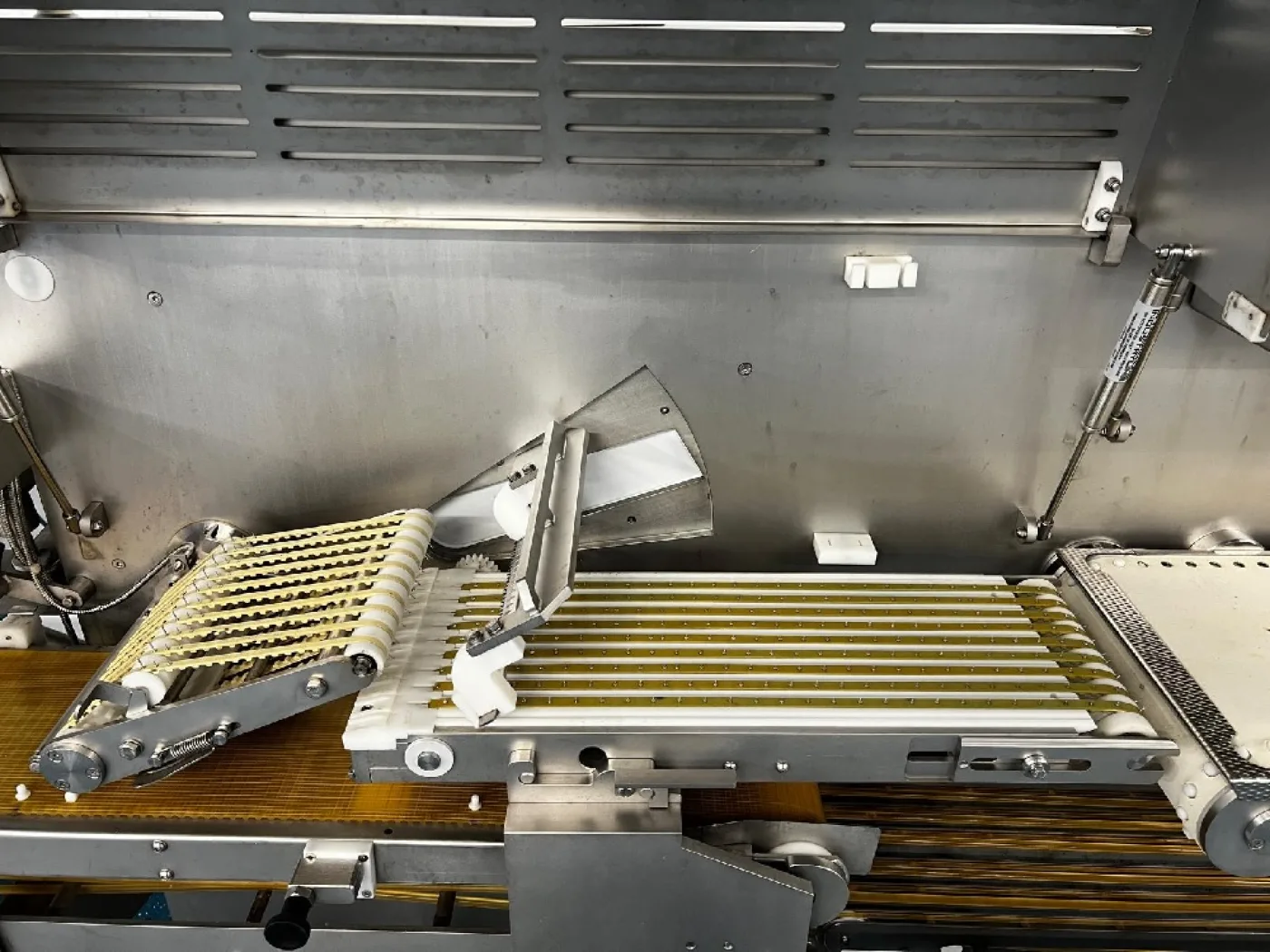 Marel IPS 3000 Salmon Slicer - 2
