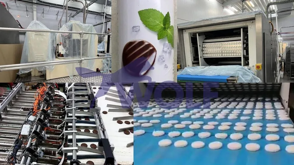 Dosieranlage WDS für Fondant-Pastillen - Type "Minztaler", bestehend aus: