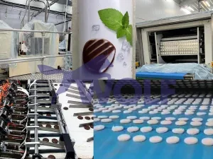 Dosieranlage WDS für Fondant-Pastillen - Type "Minztaler", bestehend aus: