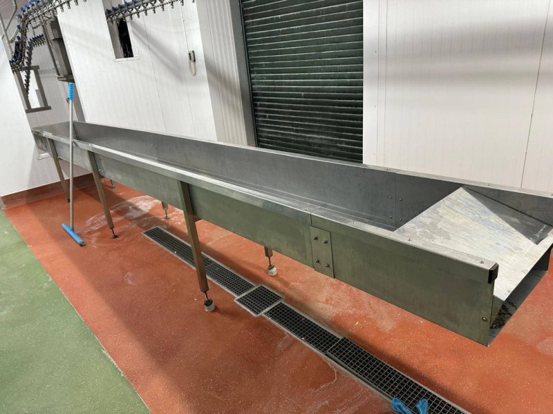 Poultry line, Bayle, 1.500 bph