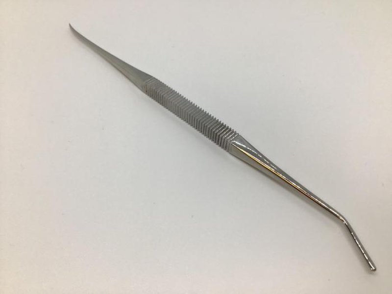 Dissector and Probe Watson Cheyne