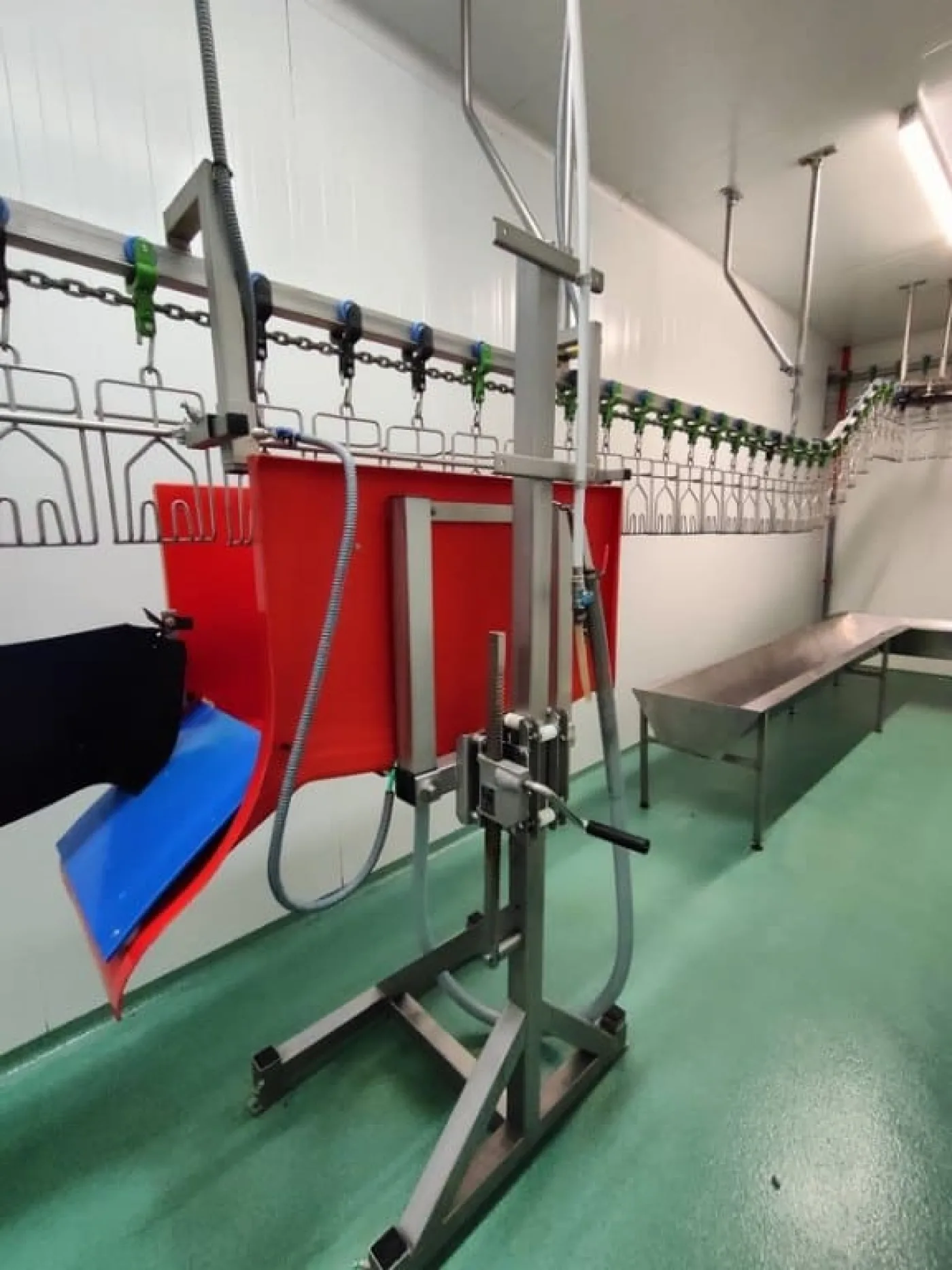 Poultry line, Bayle, 1.500 bph - 8