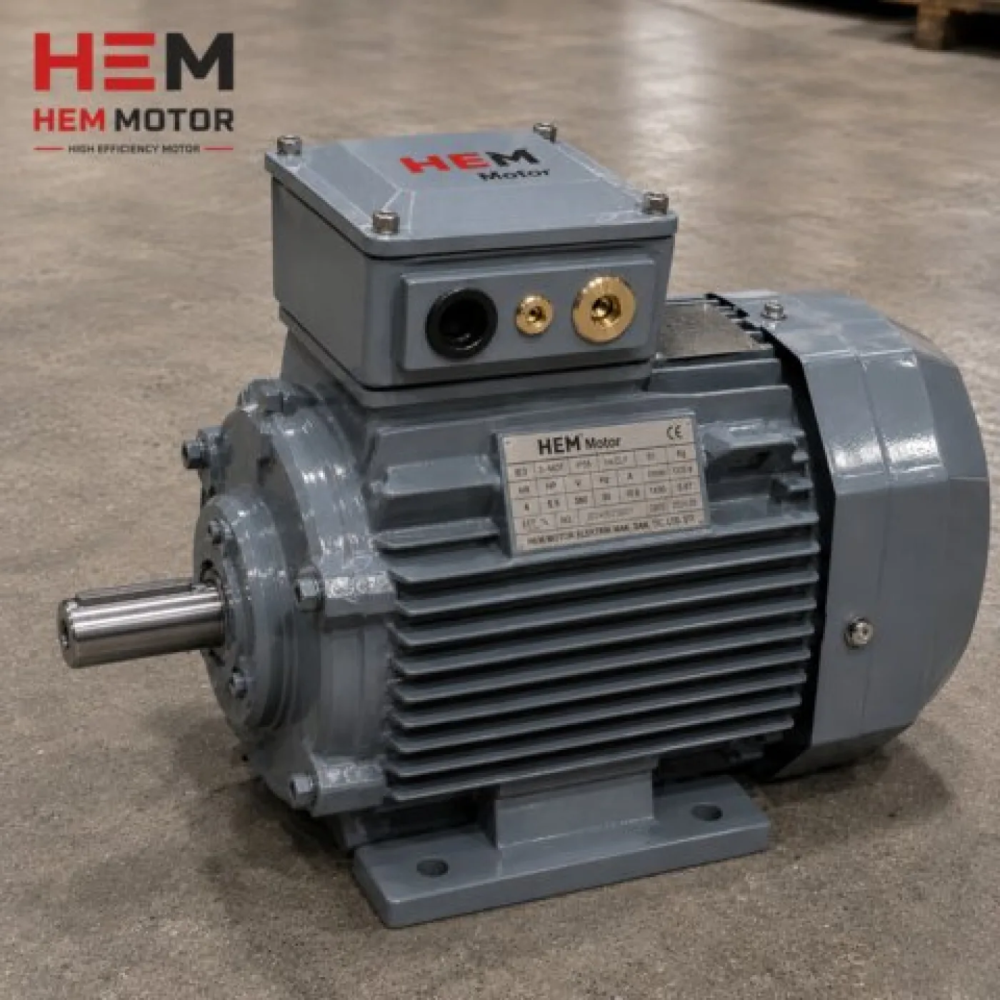 Woodworking Machine Electric Motors - 2
