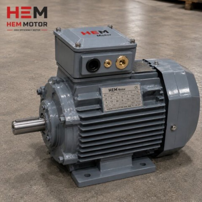 Woodworking Machine Electric Motors