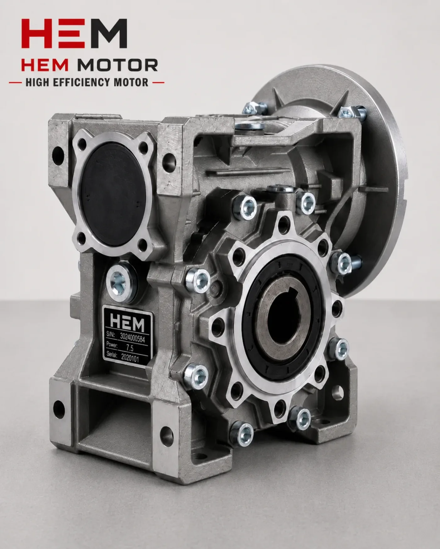 HEM110 Worm Gear Reducer - 1