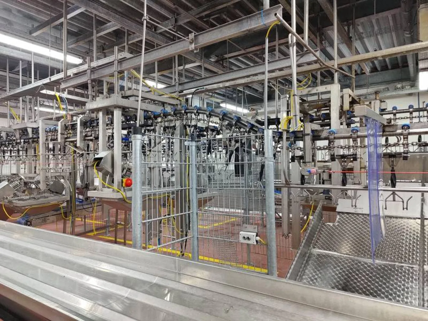Poultry cut-up line - 6